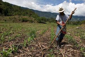 Farming the land