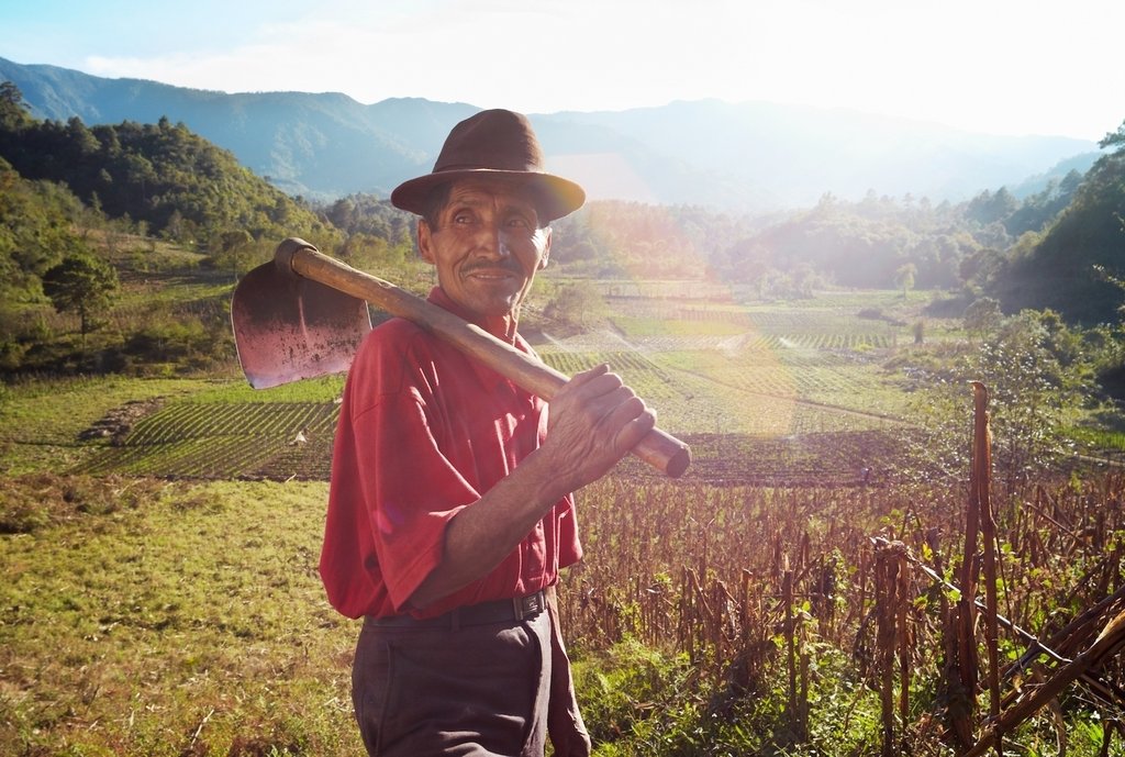 Support Sustainability for Guatemalan Farmers