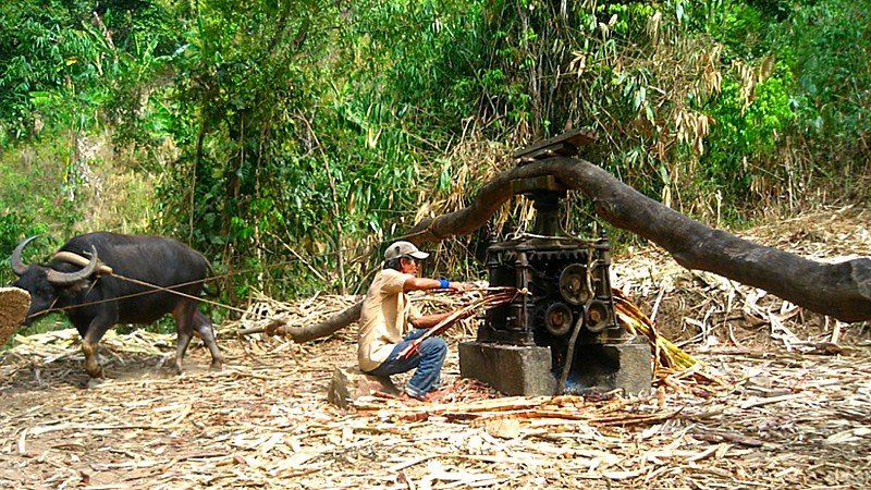 RenewableEnergy: Empowering 4,000 FilipinoFamilies