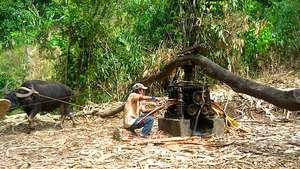 Sugarcane press