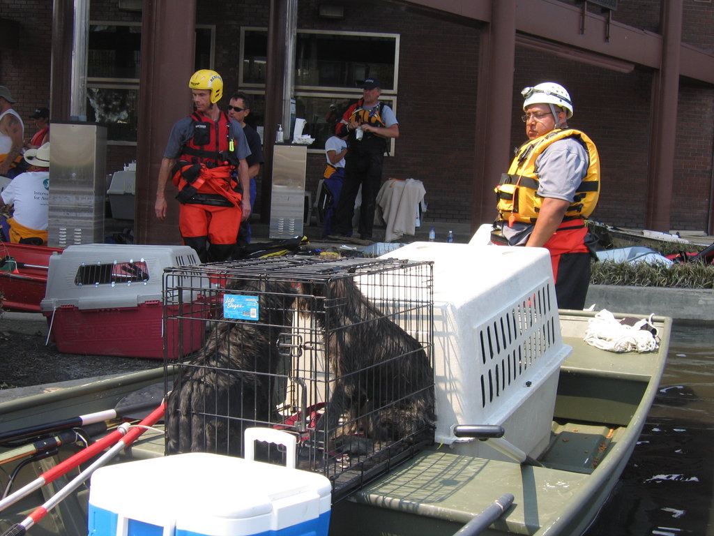 First response for animal disaster victims