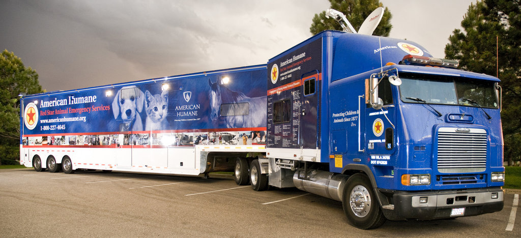 First response for animal disaster victims