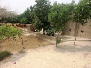 Climate Solution in Pakistan