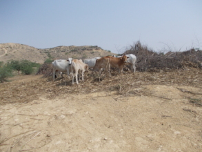 Drought in villages