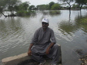 Floods hit 4 districts of Sindh