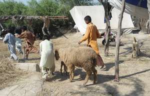 Villagers using their broken houses near matli