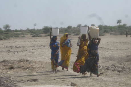 Climate Change activities by small farmer Pakistan