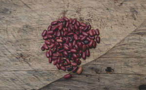 Beans are a major cash crop for Jose