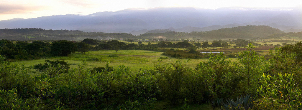 Support Sustainability for Nicaraguan Farmers