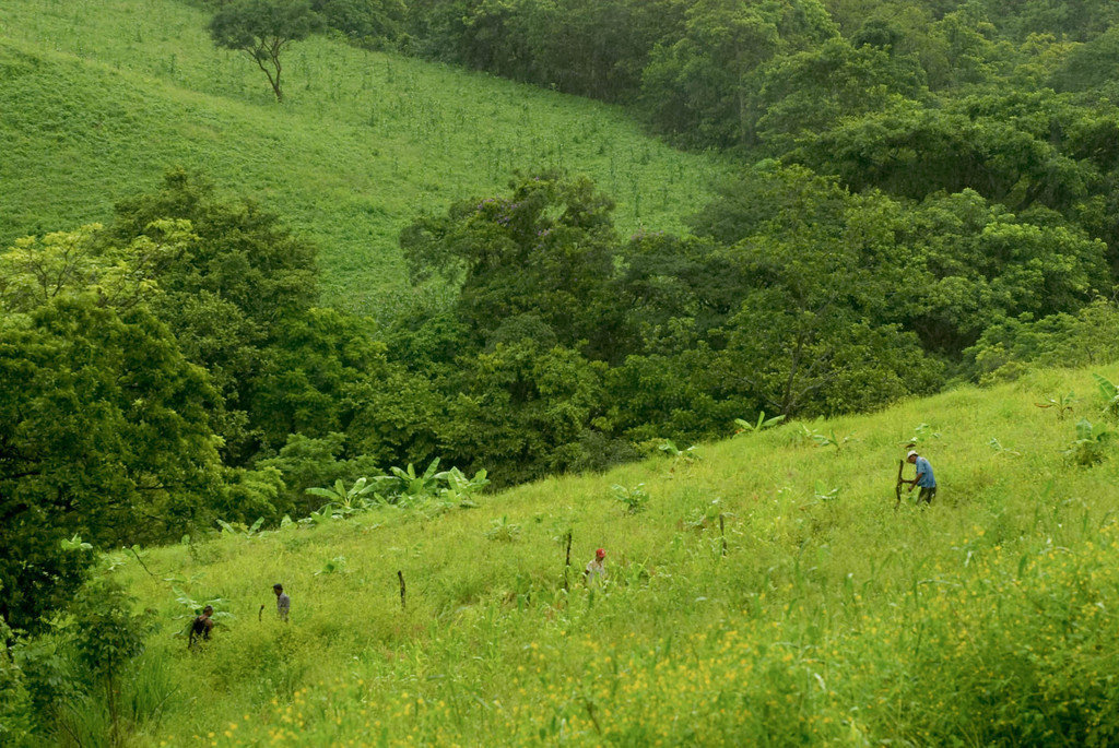 Support Sustainability for Nicaraguan Farmers