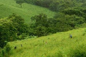 Fields of Futuro del Manana