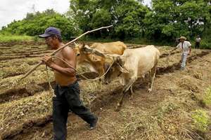Plowing the fields