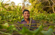 Support Sustainability for Nicaraguan Farmers