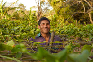 Support Sustainability for Nicaraguan Farmers