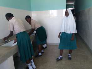 Our beautiful toilets