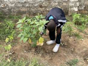 Agriculture is now part of the New Curriculum