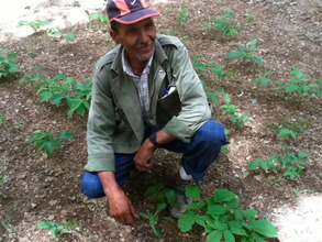 Community member Omar with his saplings.