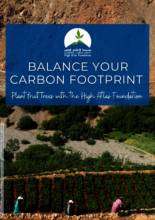 Carbon Offsets Brochure 2023