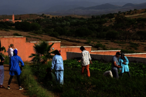 Interfaith tree nursery in Morocco (Muslim-Jewish)