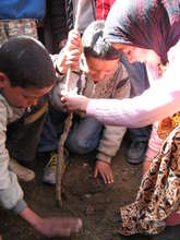 Rural Moroccan Children Planting a Tree