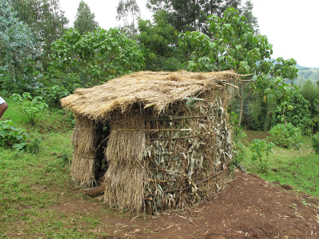 ORBIS to Build and Repair Latrines for Communities