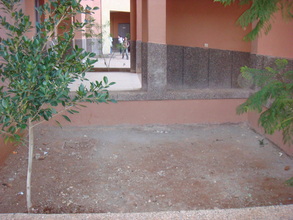 Tree planting site at Alkayrouane elementary