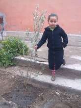 Student with tree in Imgdal elementary