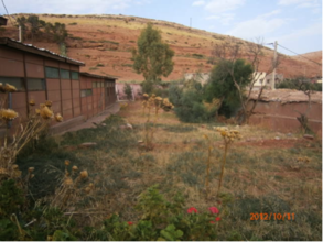 Space available behind the class rooms to plant