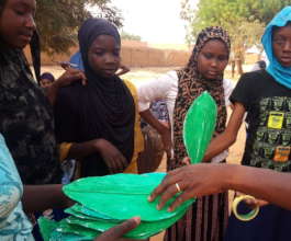 Selecting painted leaves