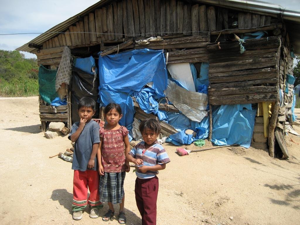 Support Sustainability for Mexican Farmers