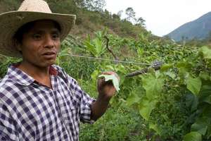 Farmer showing off his plants