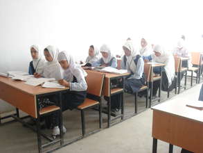 Adolescent girls studying at a school