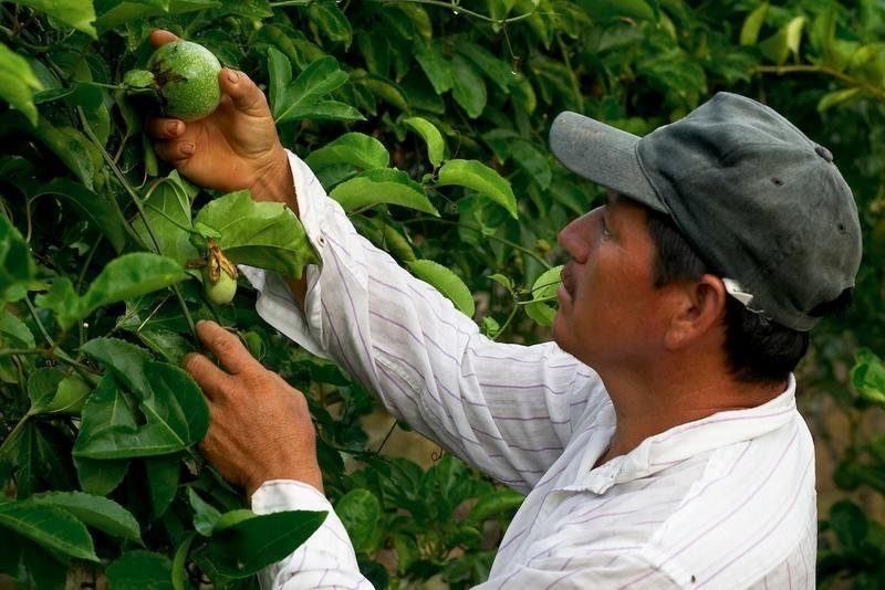 Support Sustainability for El Salvadoran Farmers