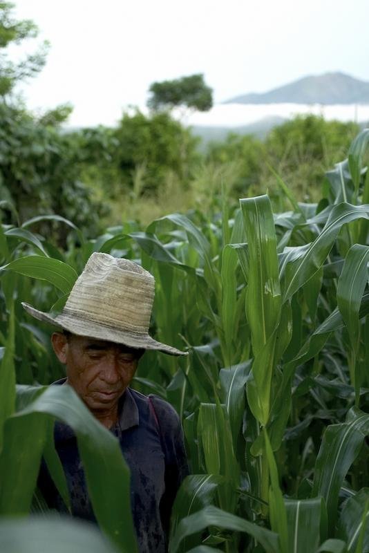 Support Sustainability for El Salvadoran Farmers