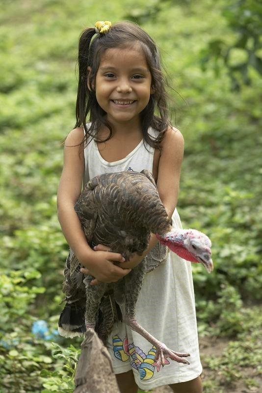 Support Sustainability for El Salvadoran Farmers