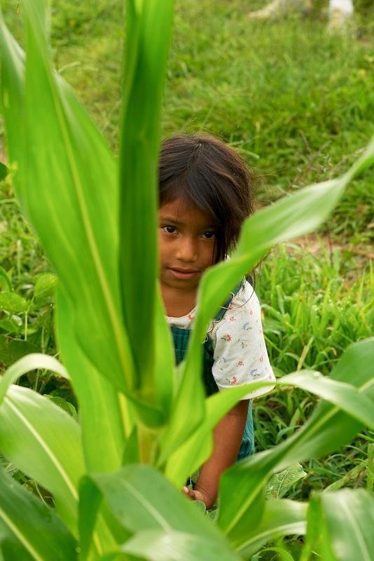Support Sustainability for Honduran Farmers