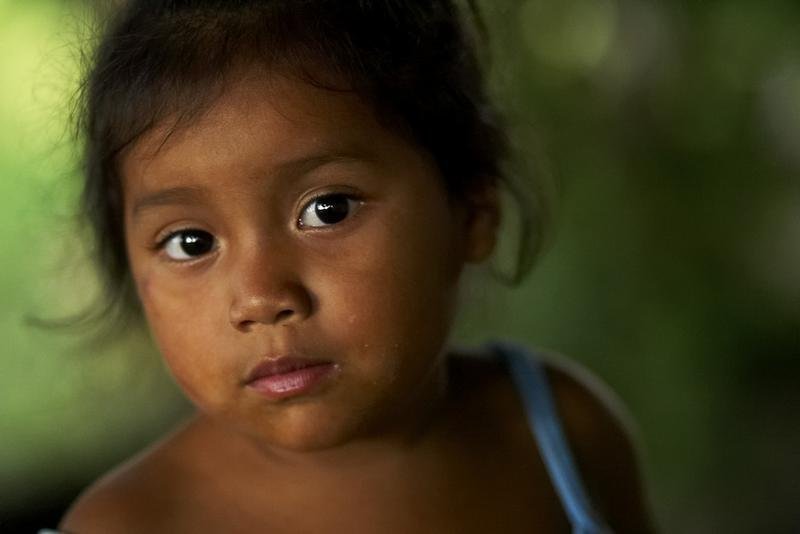 Support Sustainability for Honduran Farmers
