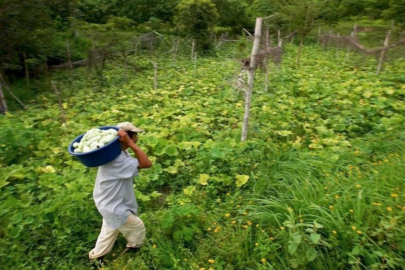 Buy Land and Housing for Central America Families