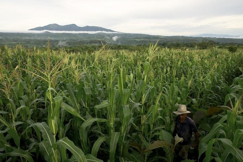 Buy Land and Housing for Central America Families