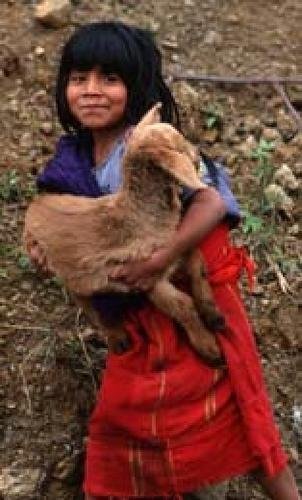 Offer Latin American Farmers Microenterprise Loans