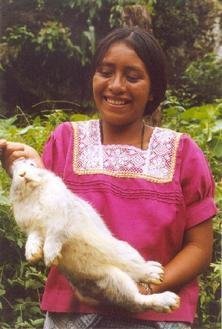Offer Latin American Farmers Microenterprise Loans