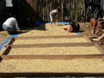 Offer Latin American Farmers Microenterprise Loans