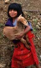 Girl and Goat
