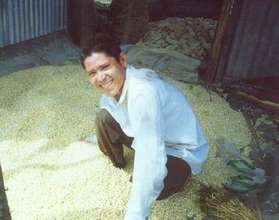 Corn Harvest
