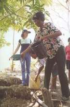 Organic Composting