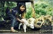 Offer Latin American Farmers Microenterprise Loans
