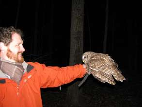 Rescuer releases barred owl back into the wild!