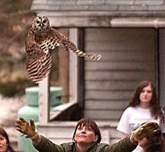 barred owl release