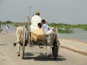 Evacuating with what they can