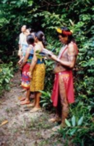 Shaman and Apprentice Program